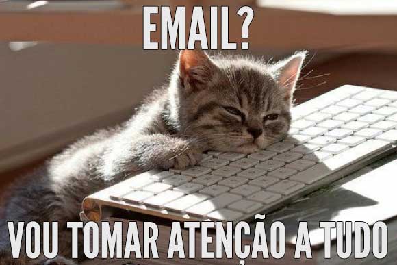Email marketing - Gato entediado